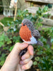 Knitted Robin Pattern (English Only)