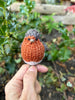 Knitted Robin Pattern (English Only)